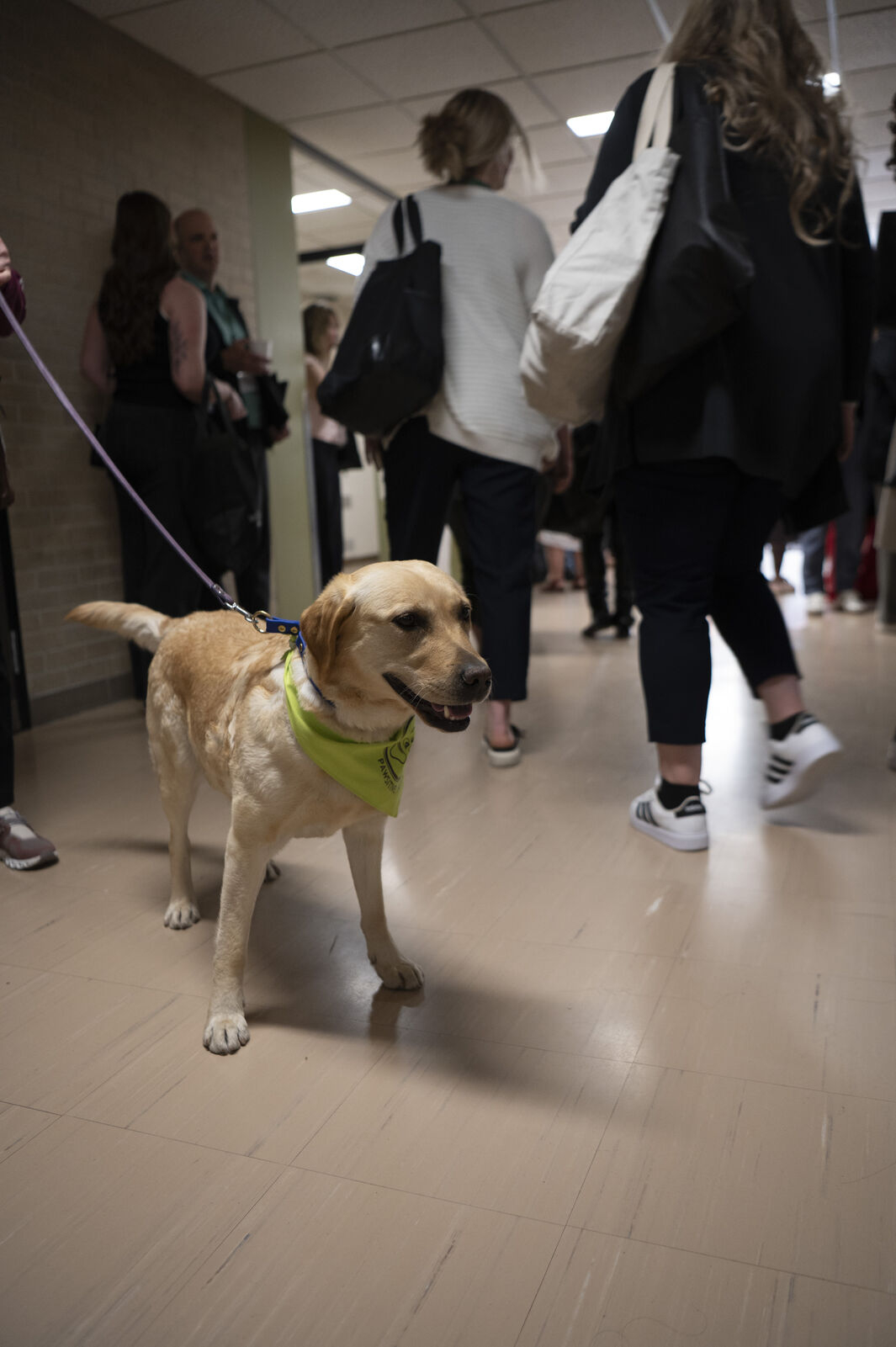 PAWSitive Support Prison Therapy Dog Program